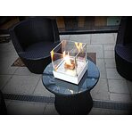 Биокамин настольный Table-top 350