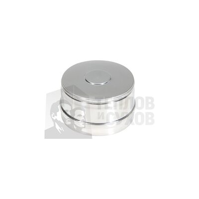 Заглушка ревизии моно ЗРМ-Р 430-0.5 D120 М У1